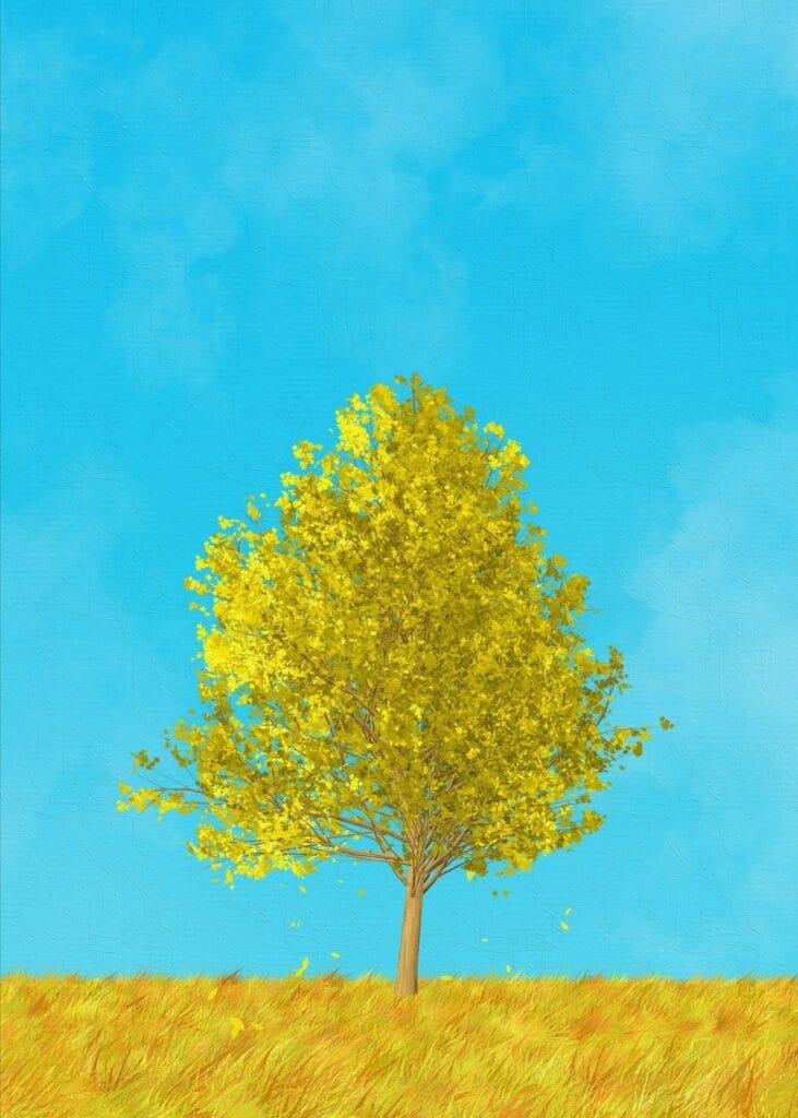 Tarladaki Ağaç Tablosu