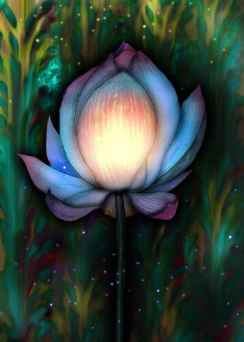 Tarlanın Ortasında Lotus Çiçeği