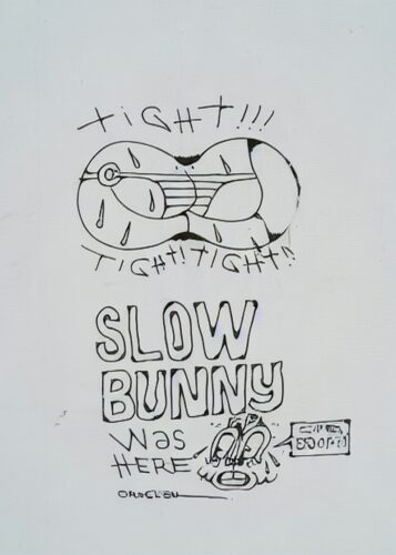 Tight Slow Bunny Karakalem Sokak Sanatı Tablosu