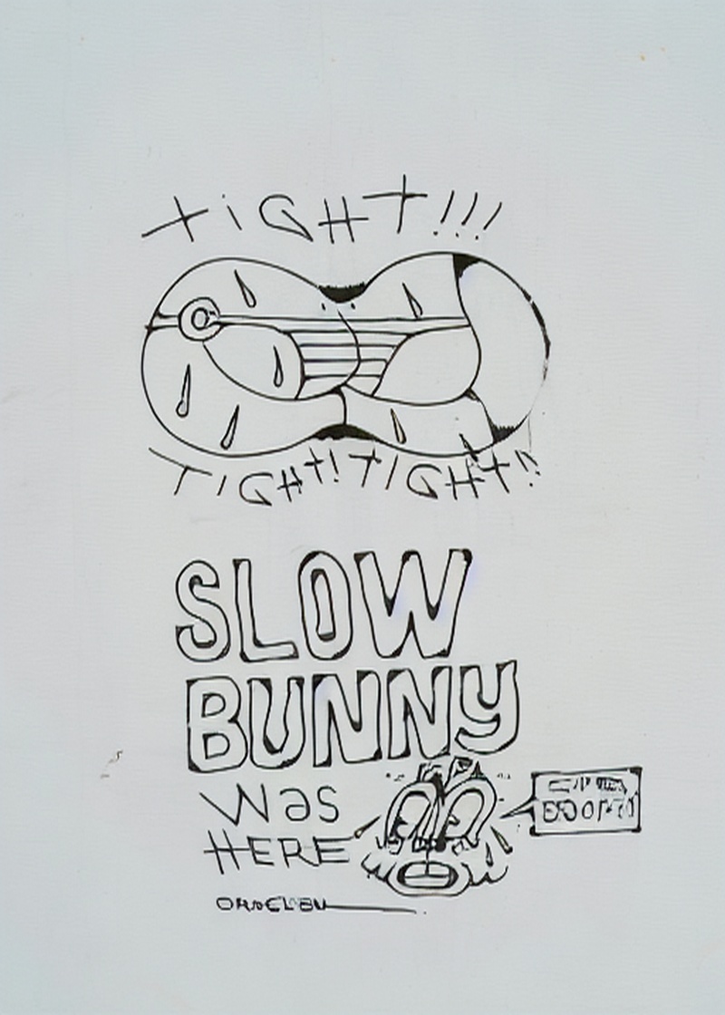 Tight Slow Bunny Karakalem Sokak Sanatı Tablosu