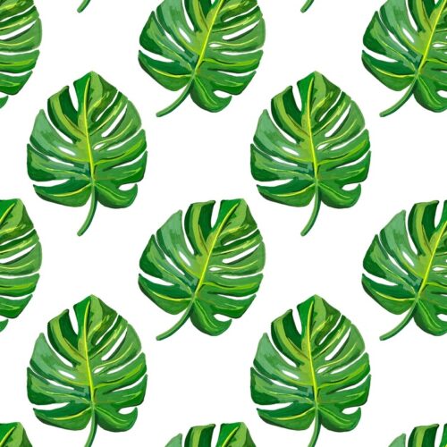 Yeşil Monstera Yaprak Pattern Tablo