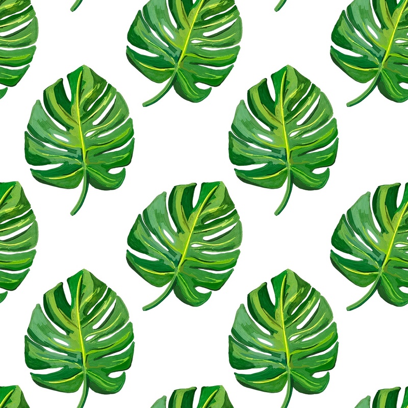 Yeşil Monstera Yaprak Pattern Tablo