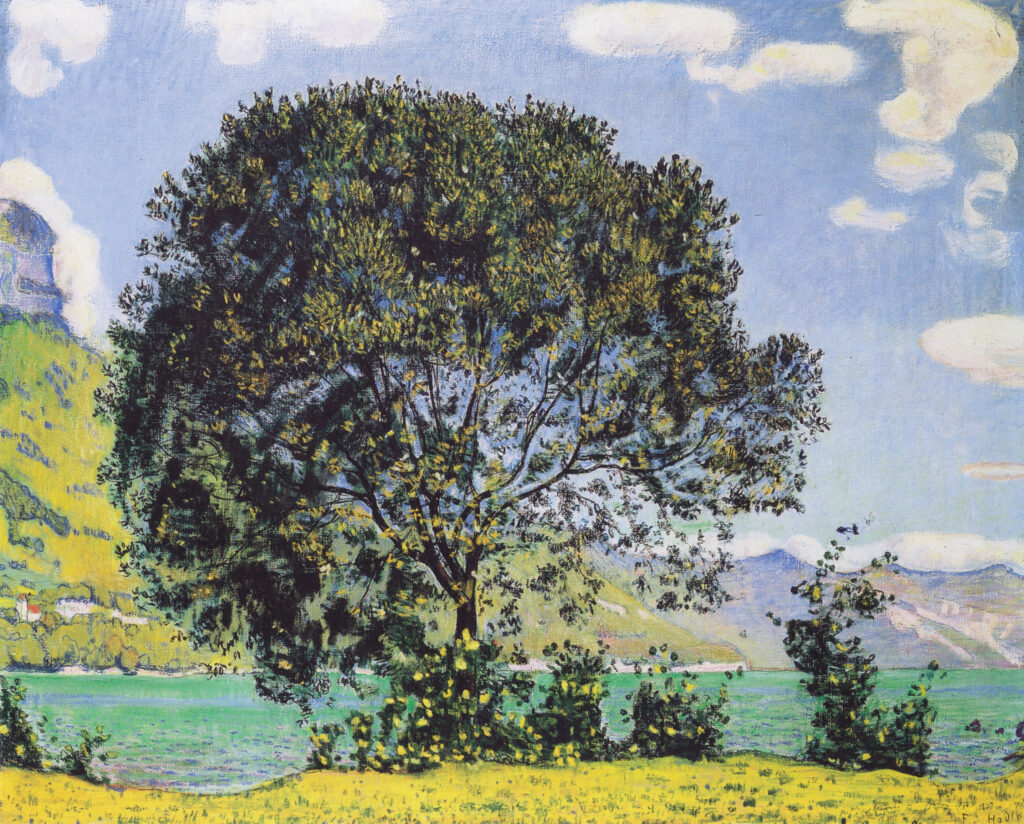 A View of Lake Brienz from Bodeli - Ferdinand Hodler Tablo