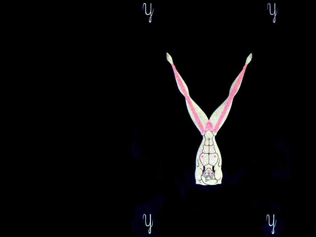 Alphabet Y – Erté Tablo