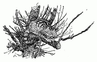Cheshire Puss – Arthur Rackham Tablo