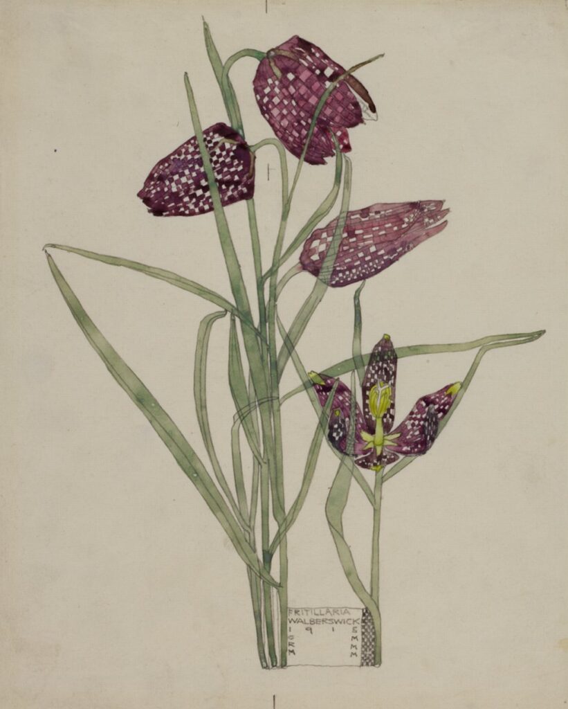 Fritillaria (1915) - Charles Rennie Mackintosh Tablo