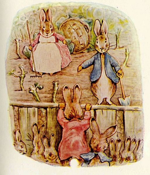 Peter Rabbit Benjamin and Flopsy Bunny – Beatrix Potter Tablo
