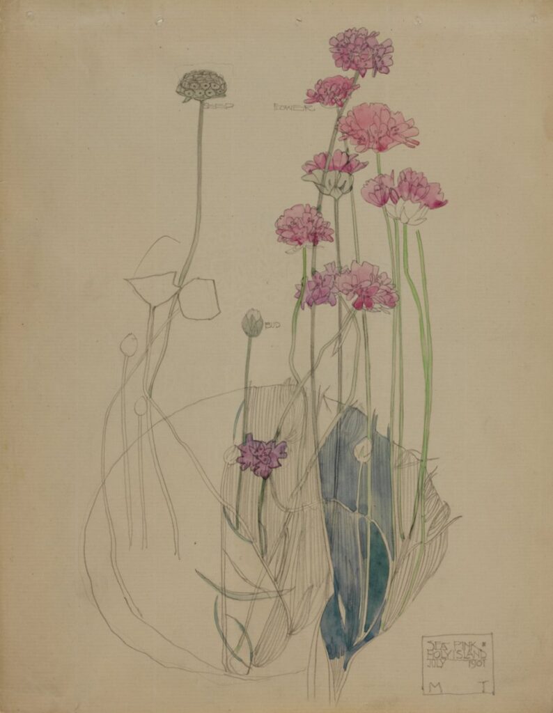 Sea Pink (1901) - Charles Rennie Mackintosh Tablo