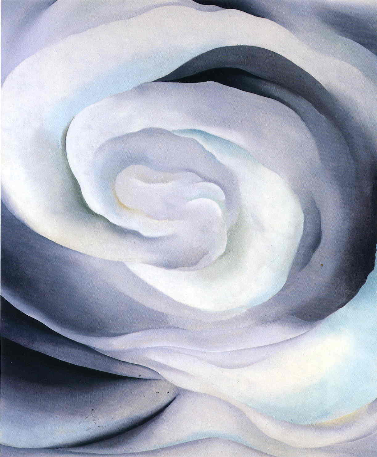 Abstraction White Rose (1927) - Georgia O'Keeffe Tablo