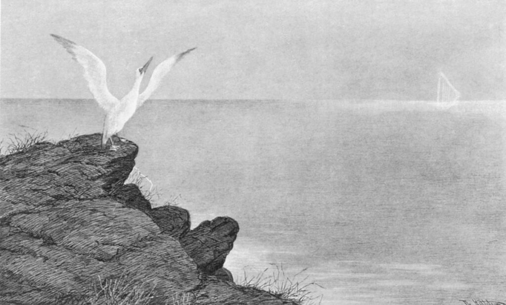 Aeolsharpen (1891) - Theodor Severin Kittelsen Tablo