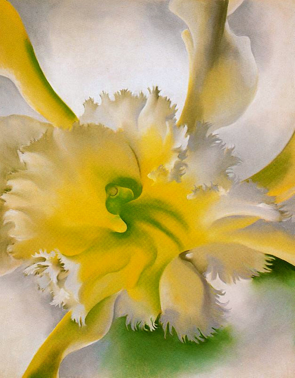 An Orchid (1941) - Georgia O'Keeffe Tablo
