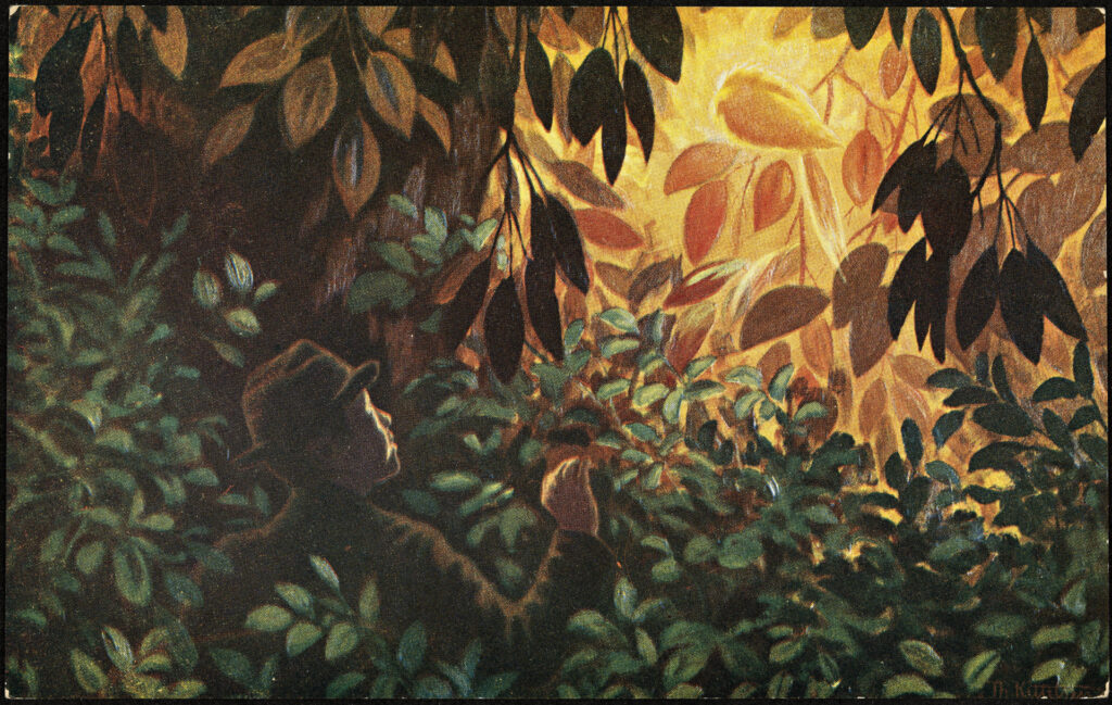 Askeladdens adventure. Golden Bird (1900) - Theodor Severin Kittelsen Tablo