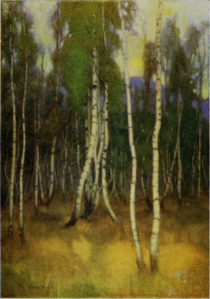 BIRCHES AT LUCSIVNA FURDO (1909) - Marianne Stokes Tablo