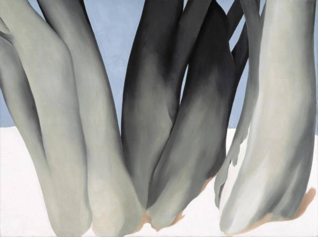 Bare Tree Trunks with Snow (1946) - Georgia O'Keeffe Tablo