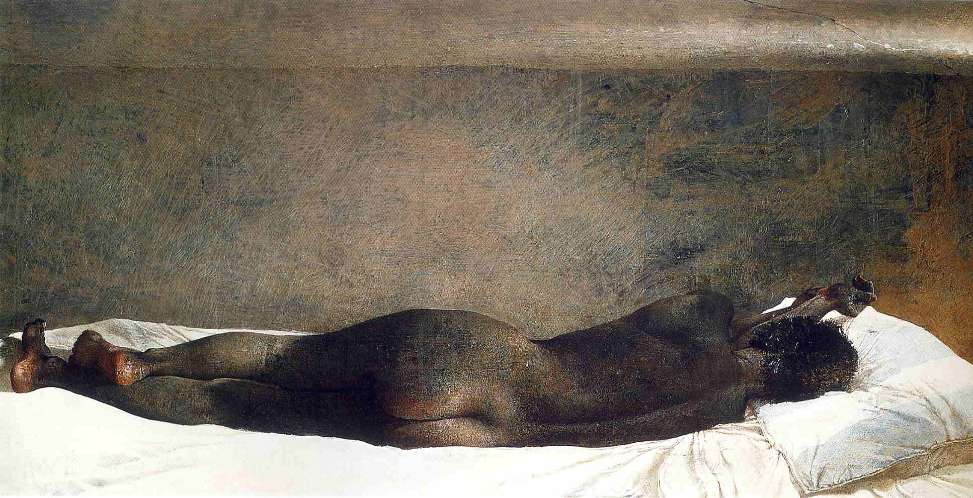 Barracoon - Andrew Wyeth Tablo