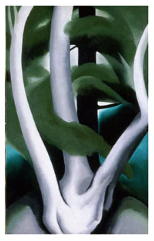 Birch and Pine Tree No. 1 (1925) - Georgia O'Keeffe Tablo