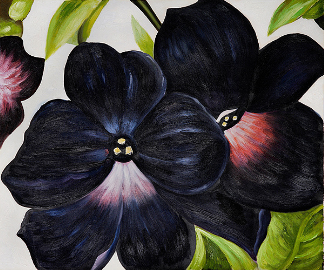 Black and Purple Petunias - Georgia O'Keeffe Tablo
