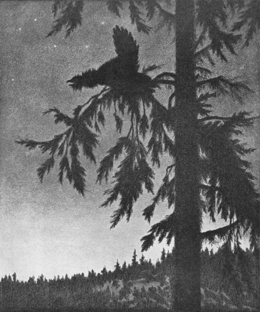 Black grouse (1900) - Theodor Severin Kittelsen Tablo