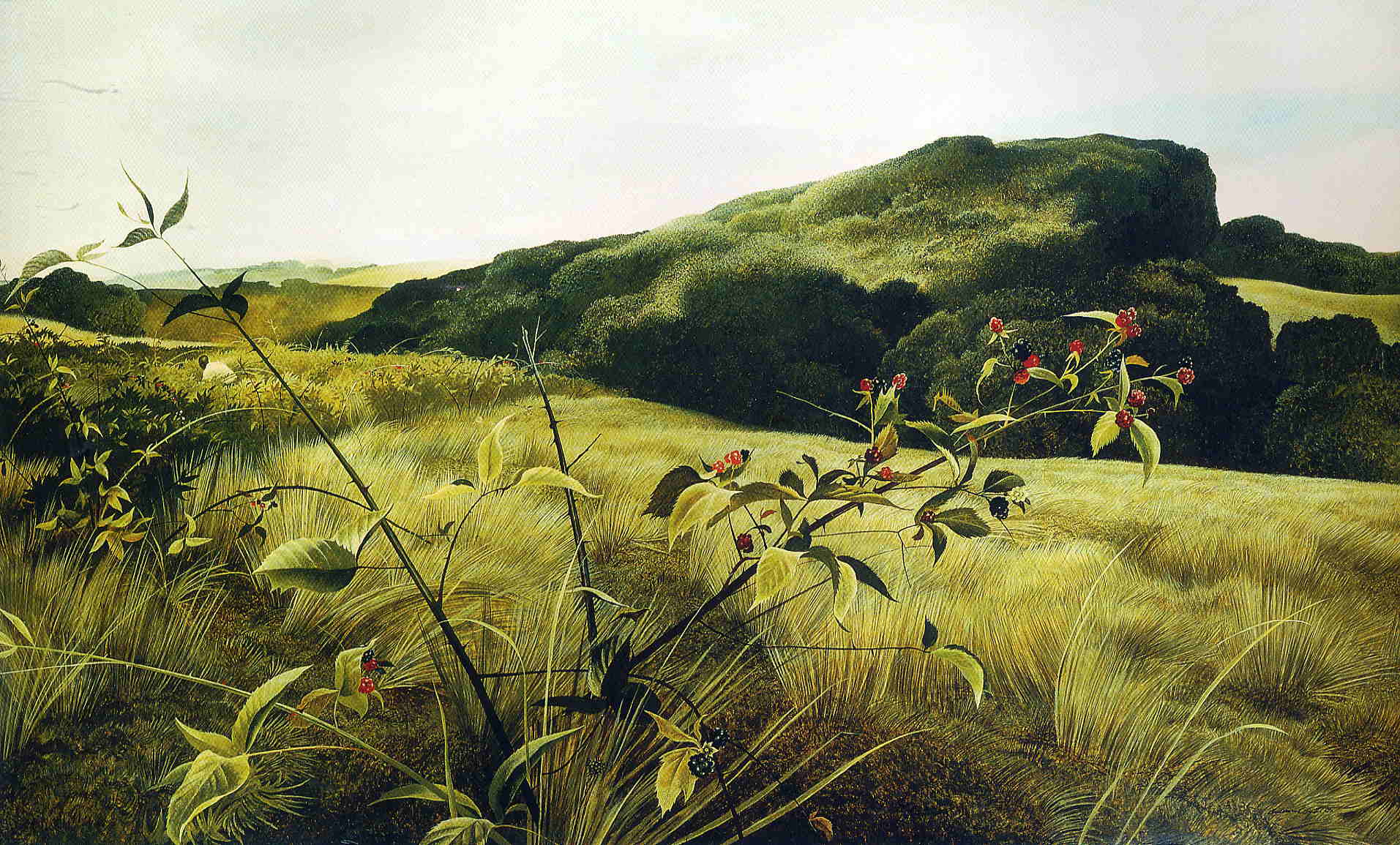 Blackberry Picker - Andrew Wyeth Tablo