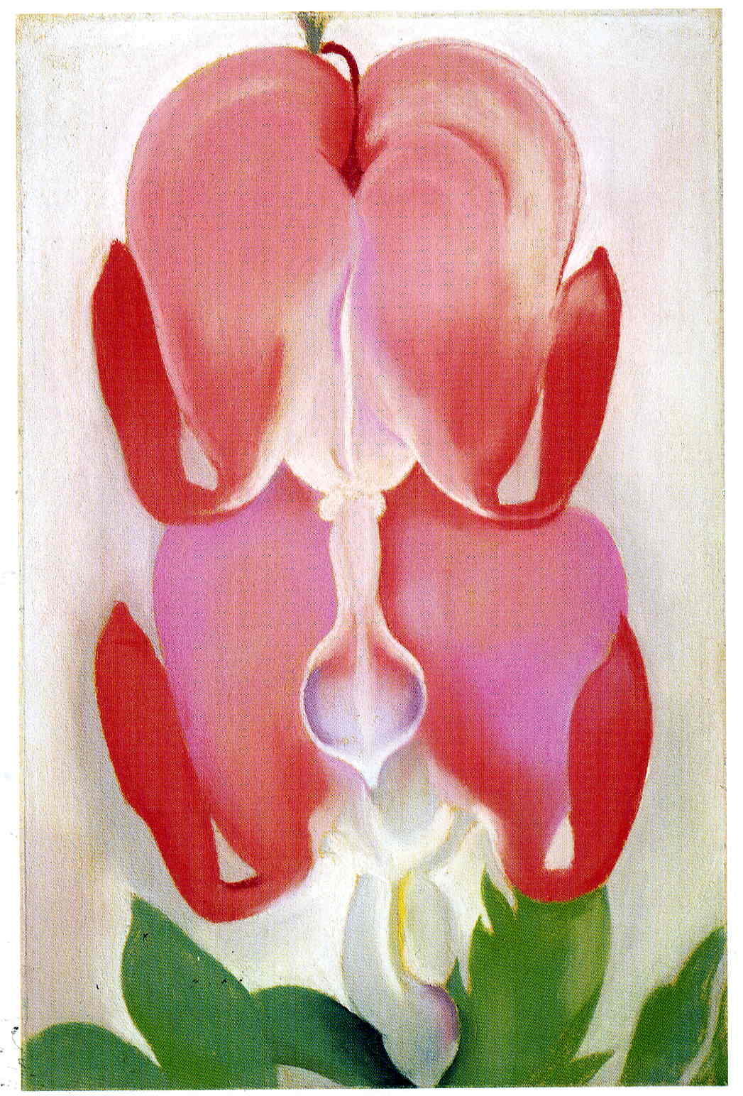Bleeding Heart (1932) - Georgia O'Keeffe Tablo