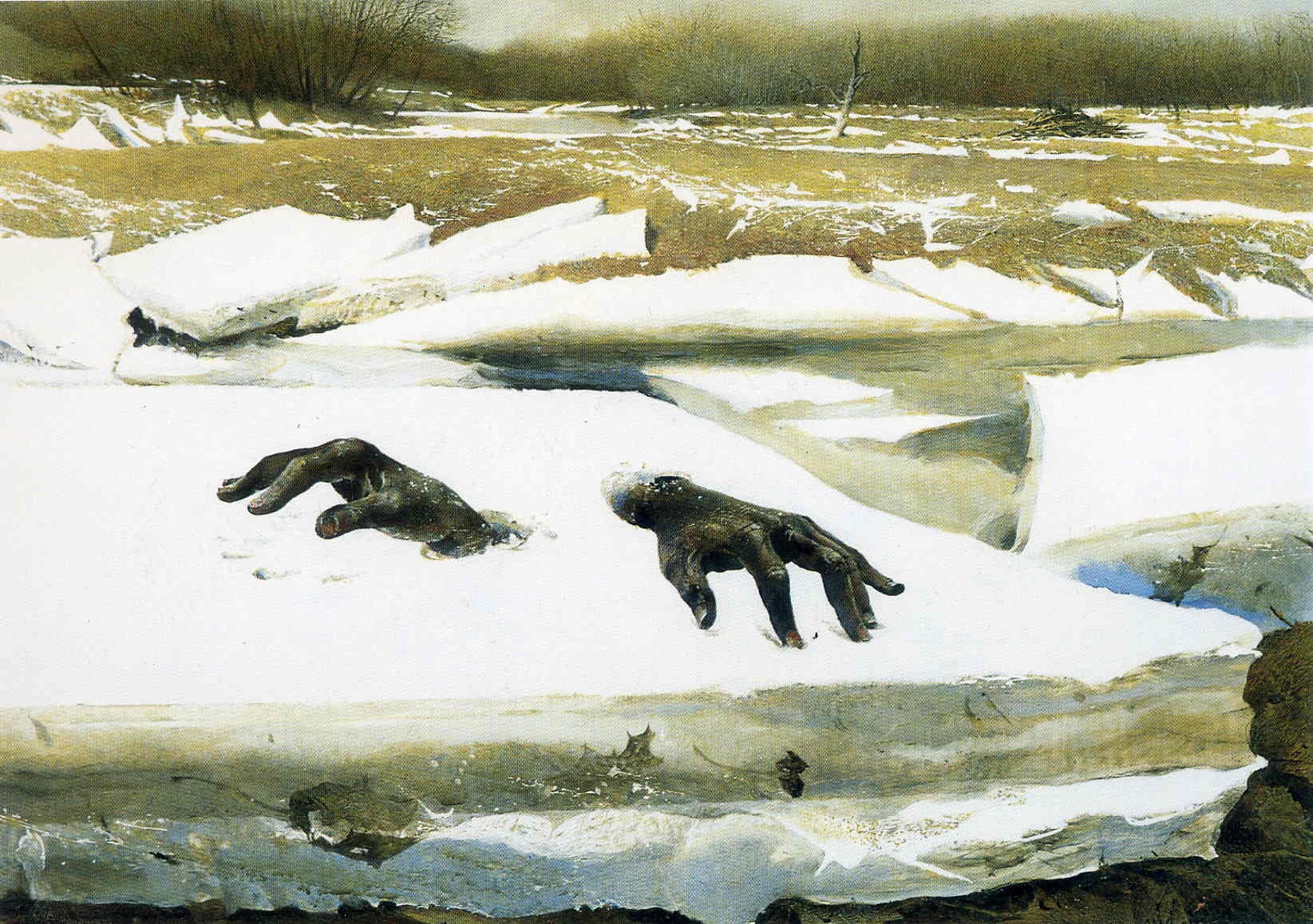 Breakup - Andrew Wyeth Tablo
