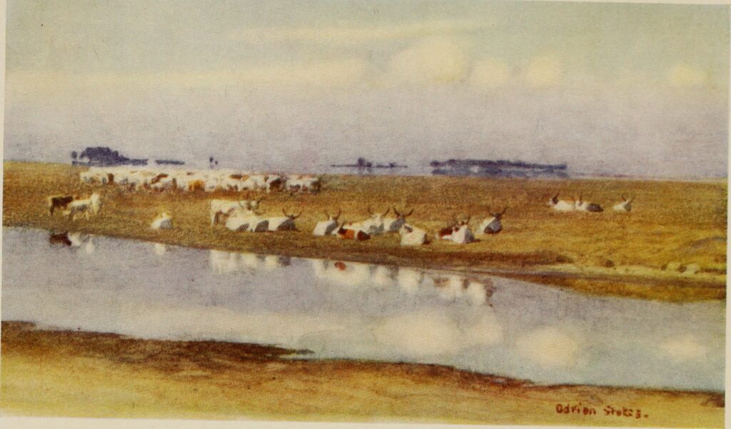 CATTLE ON THE PUSZTA OF HORTOBAGY (1909) - Marianne Stokes Tablo