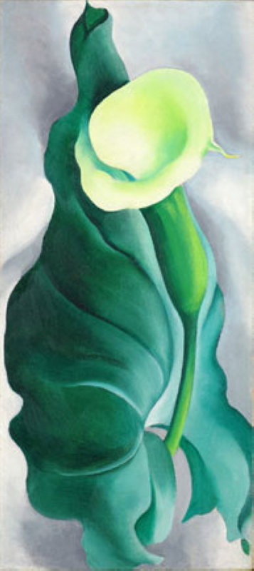 Calla Lily (Lily Yellow No. 2) (1927) - Georgia O'Keeffe Tablo