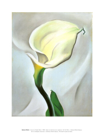 Calla Lily Turned Away (1923) - Georgia O'Keeffe Tablo