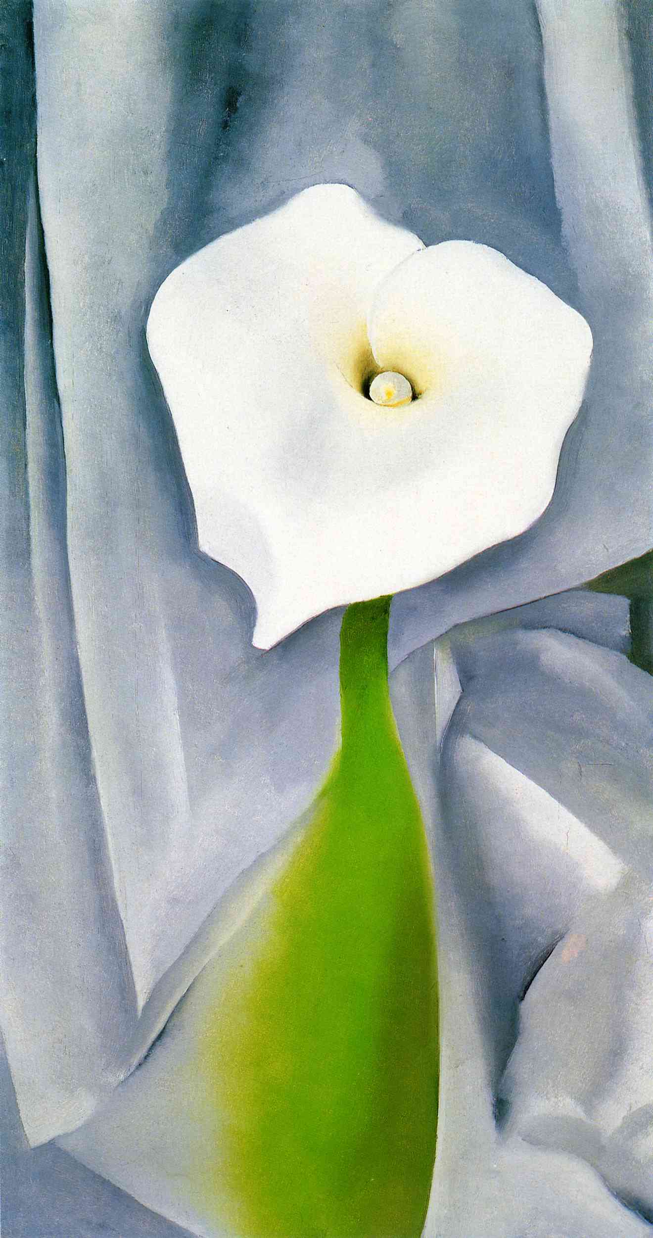 Calla Lily on Grey (1928) - Georgia O'Keeffe Tablo