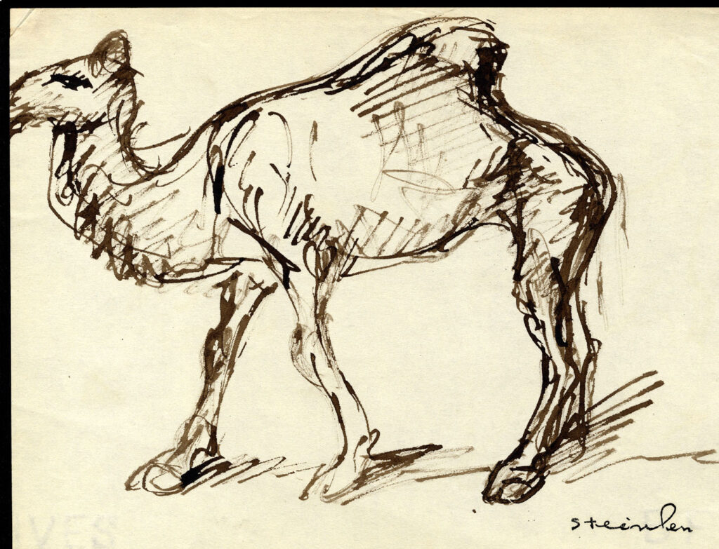 Camel - Théophile Steinlen Tablo
