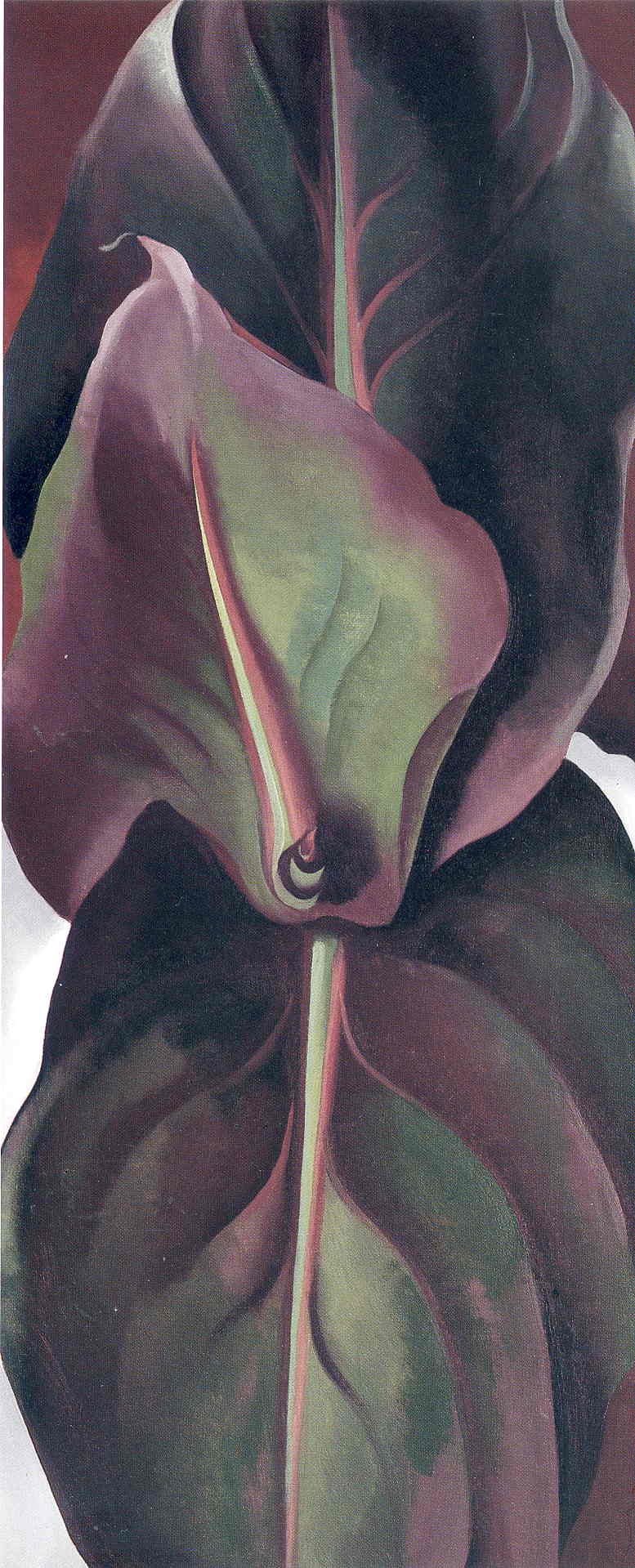 Canna Leaves (1925) - Georgia O'Keeffe Tablo
