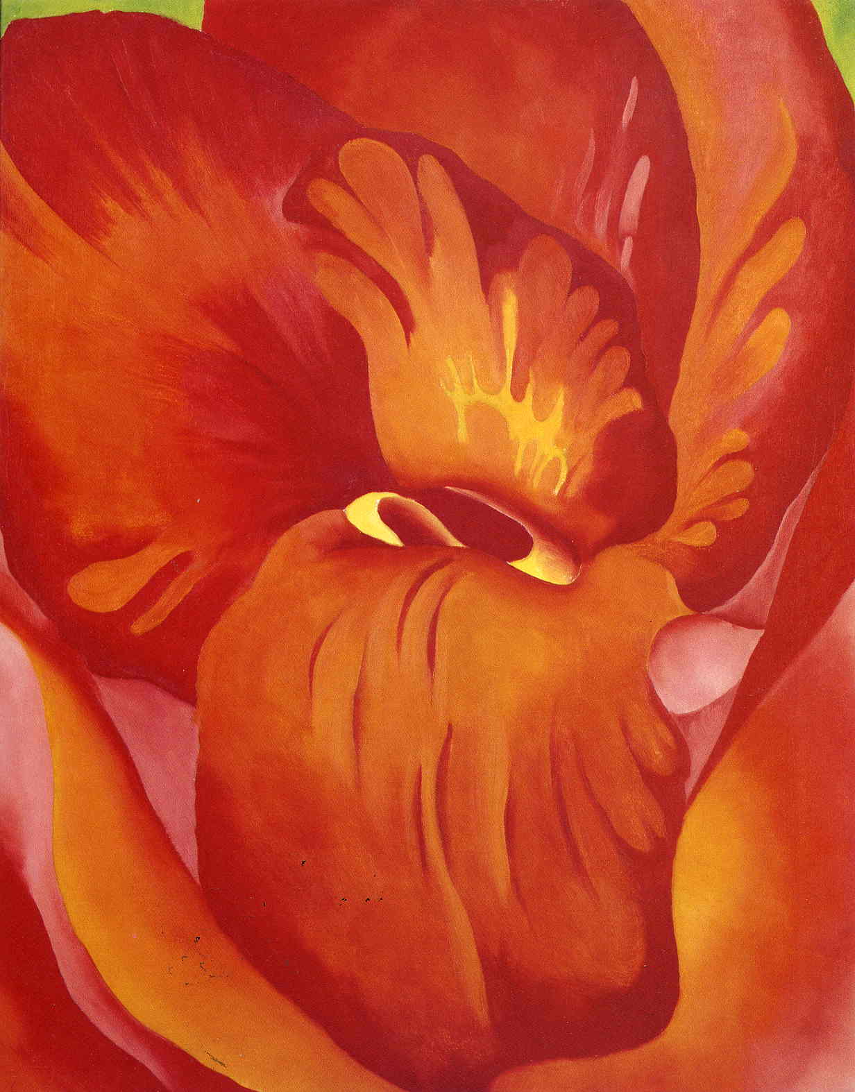 Canna Red and Orange (1922) - Georgia O'Keeffe Tablo