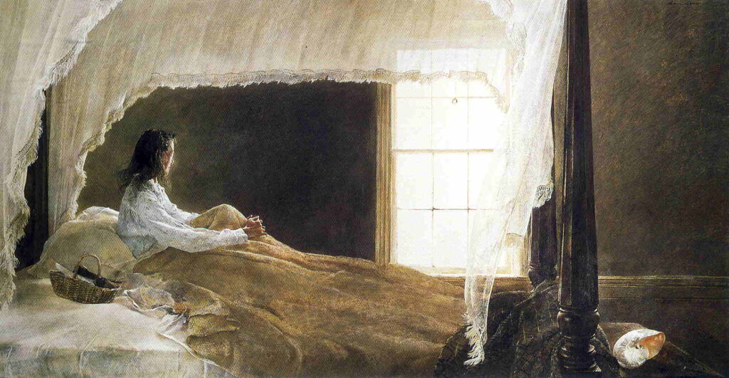 Chambered Nautilus - Andrew Wyeth Tablo