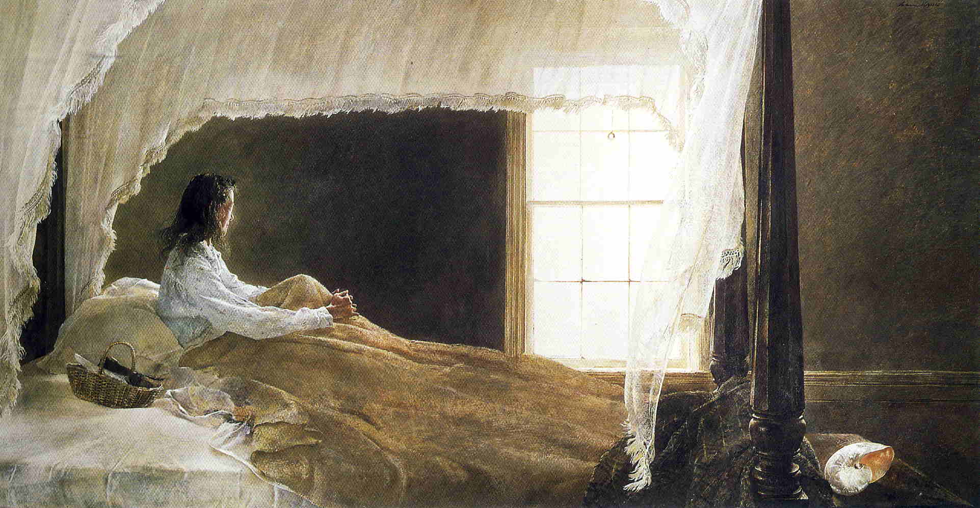 Chambered Nautilus - Andrew Wyeth Tablo