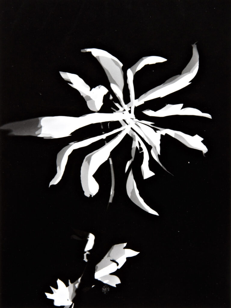Changing patterns - László Moholy-Nagy Tablo