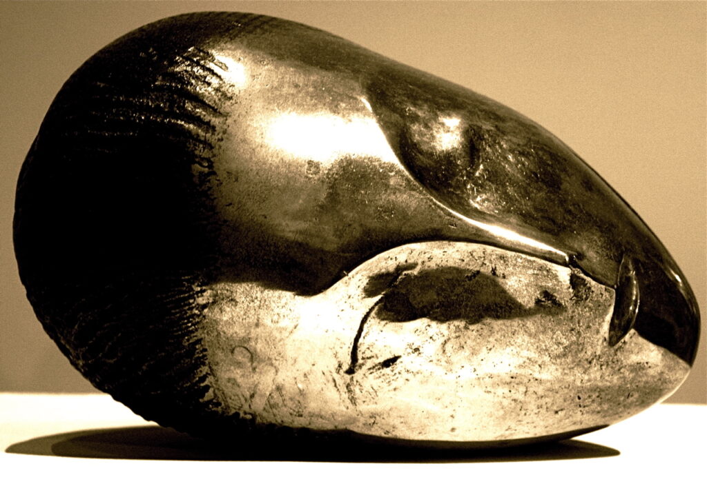 Colette - Constantin Brâncuși Tablo
