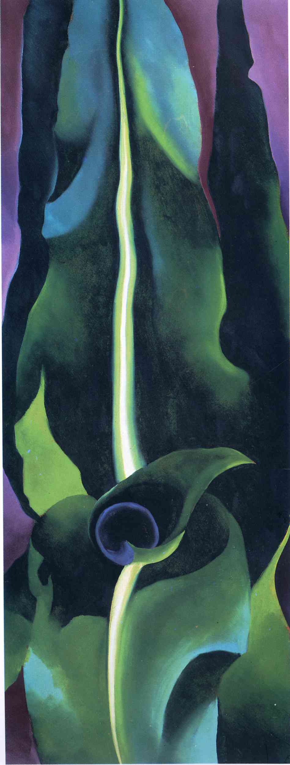 Corn, Dark I (1924) - Georgia O'Keeffe Tablo
