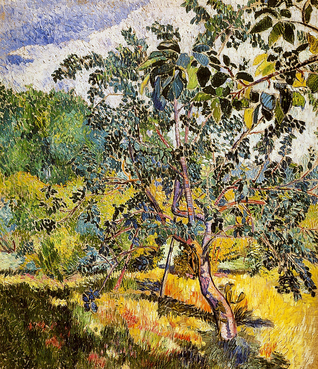 Corner of a garden Sun - Natalia Goncharova Tablo