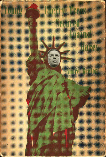 Cover for Young Cherry Trees Secured Against Hares (1946) – Marcel Duchamp Tablo