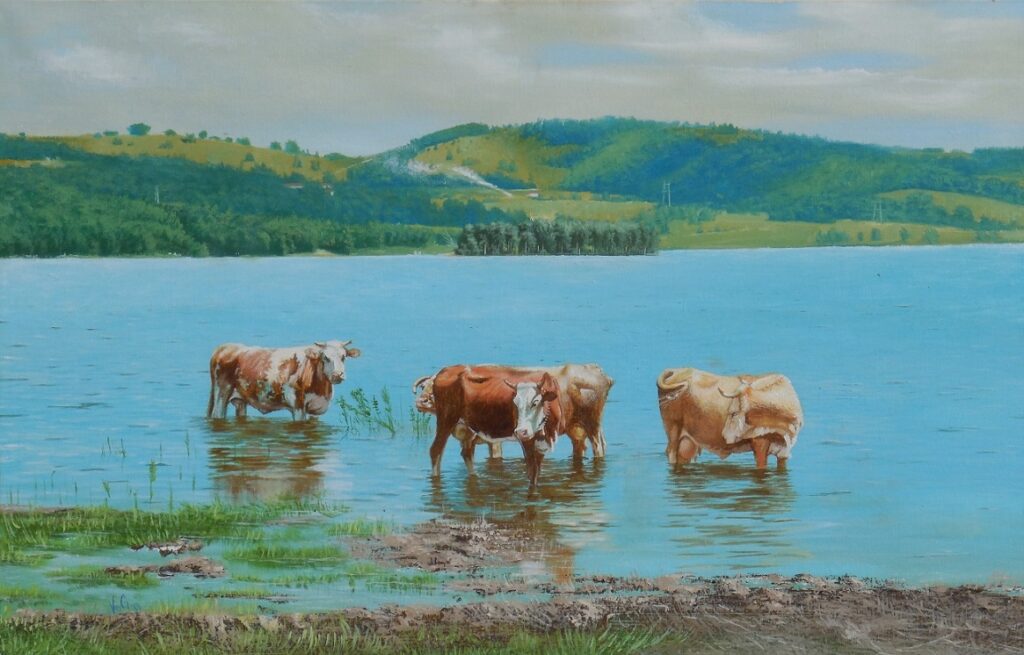 Cows on Vlasina Lake - Goran Vojinovic Tablo