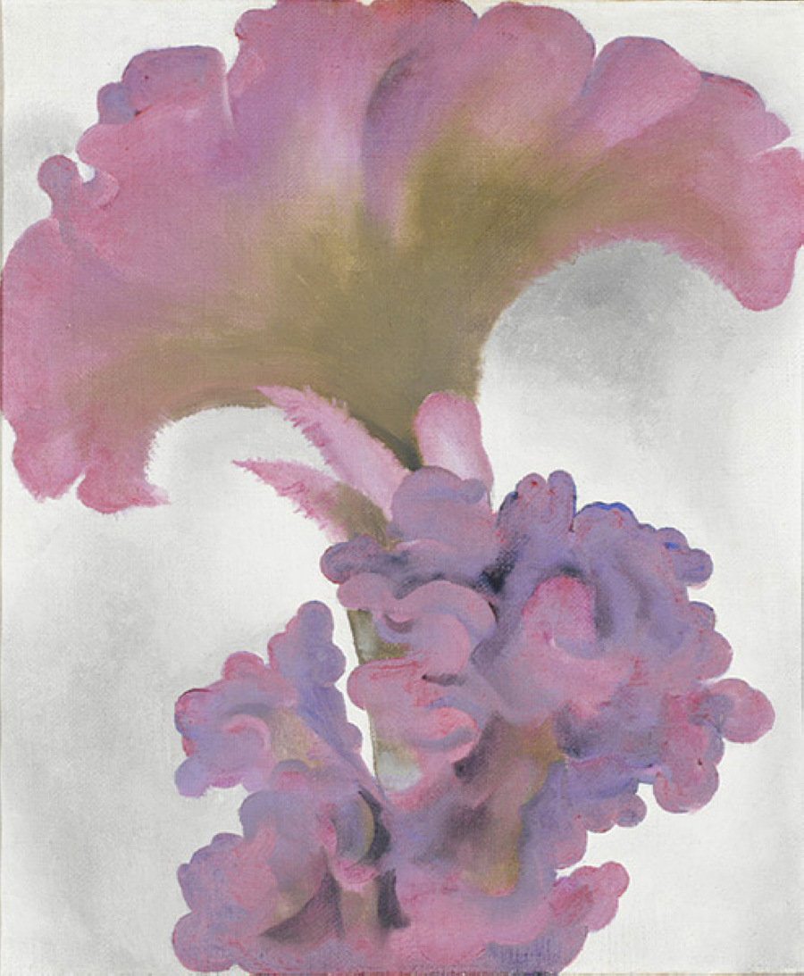 Coxcomb (1931) - Georgia O'Keeffe Tablo