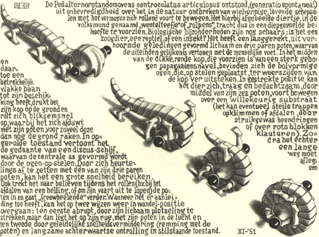Curl Up (1951) - M. C. Escher Tablo