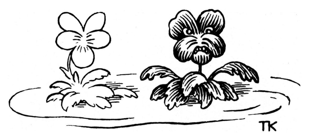 Daisies - Theodor Severin Kittelsen Tablo