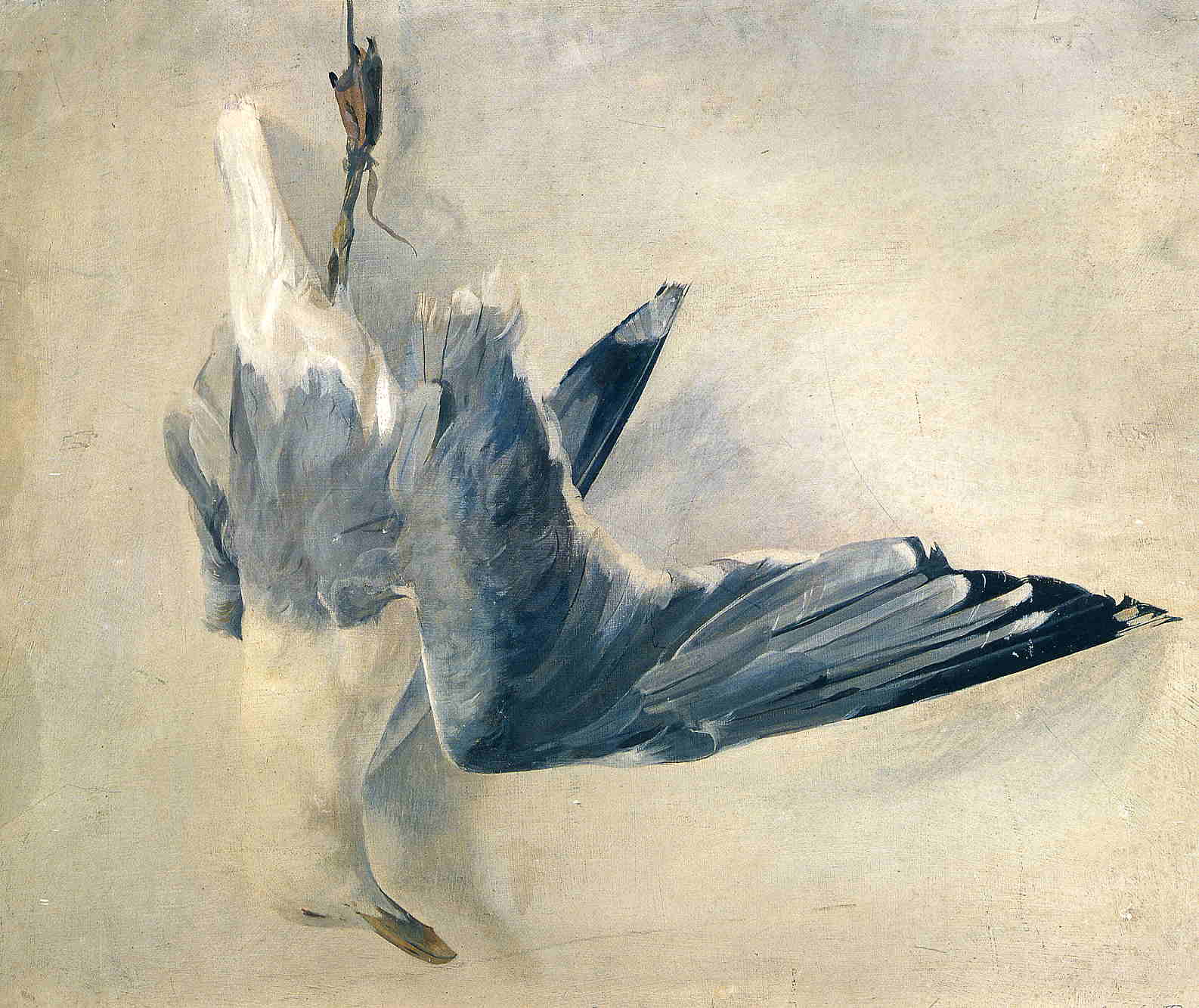 Dead Gull - Andrew Wyeth Tablo