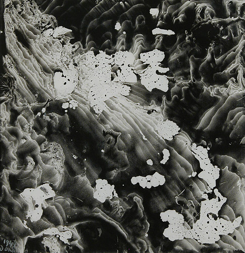 Decalcomania (1947) - Enrico Donati Tablo