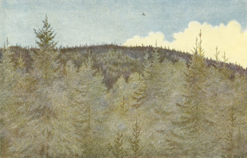 Der Floei En Fugl Over Granehei (1900) - Theodor Severin Kittelsen Tablo