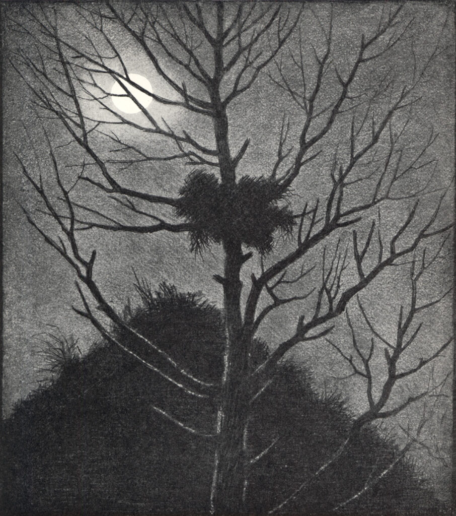 Desolation (1900) - Theodor Severin Kittelsen Tablo