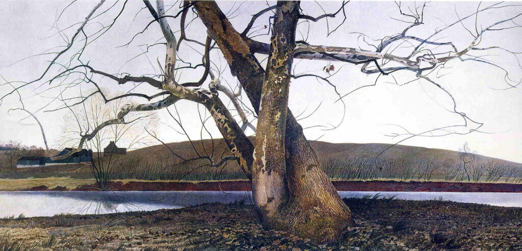 Dil Huey Farm - Andrew Wyeth Tablo