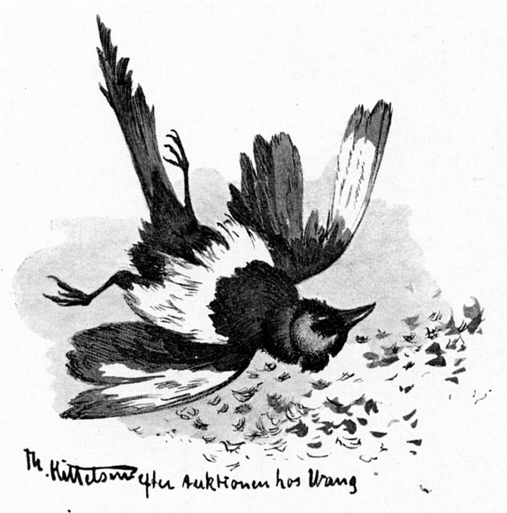 Doed Fugl - Theodor Severin Kittelsen Tablo