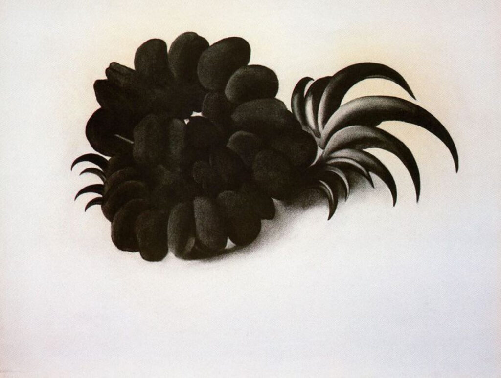 Eagle Claw and Bean Necklace - Georgia O'Keeffe Tablo
